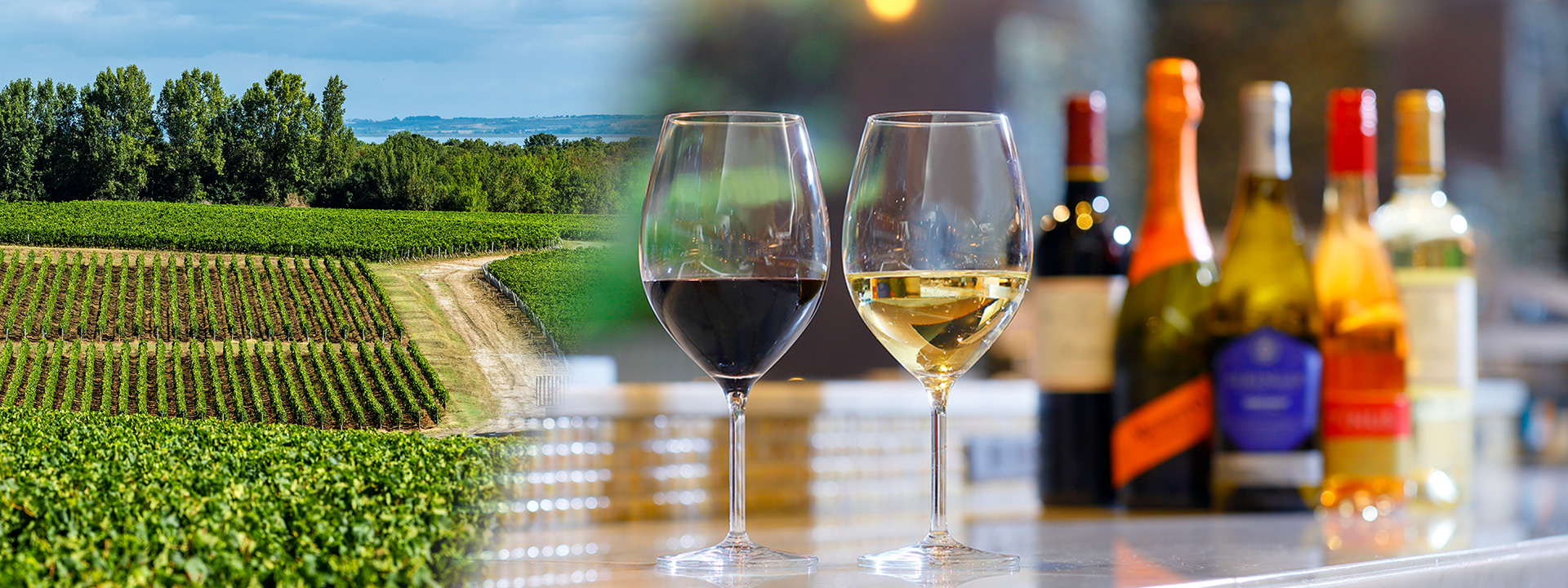 ワイン フリーフロープラン　～Invitation au voyage du vin～ワインの旅への誘い